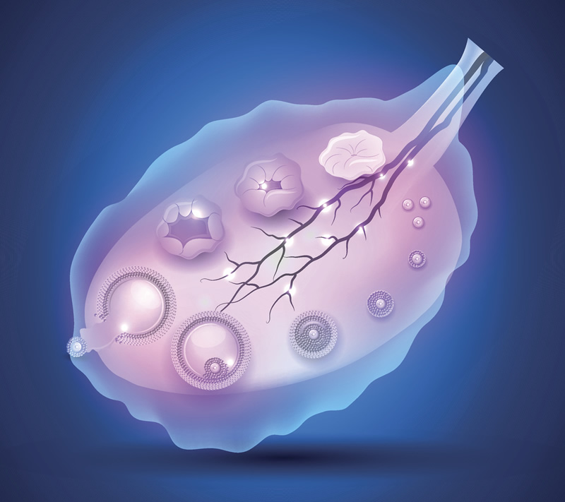 2026年哈尔滨第三代试管婴儿医院排名前十名单出炉，附与费用详情参考